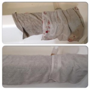Towel and Washcloth