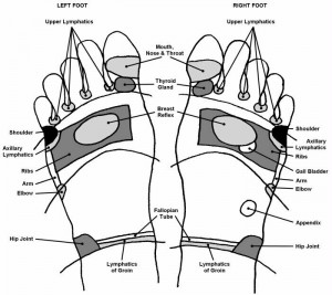 Reflexology chart- top of the feet