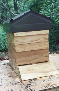 Our beautiful handcrafted beehive.